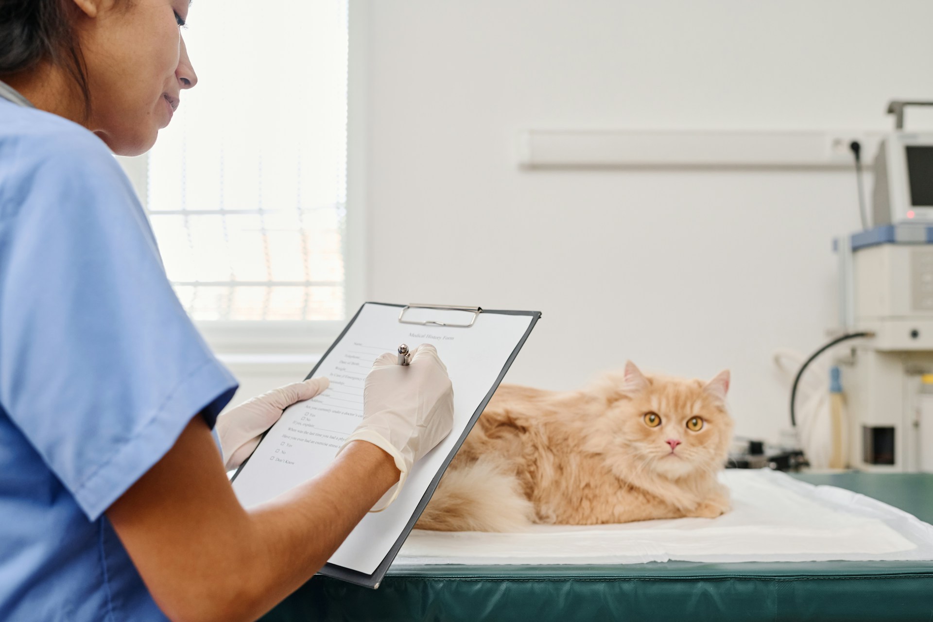 Sterilizzazione e Microchip