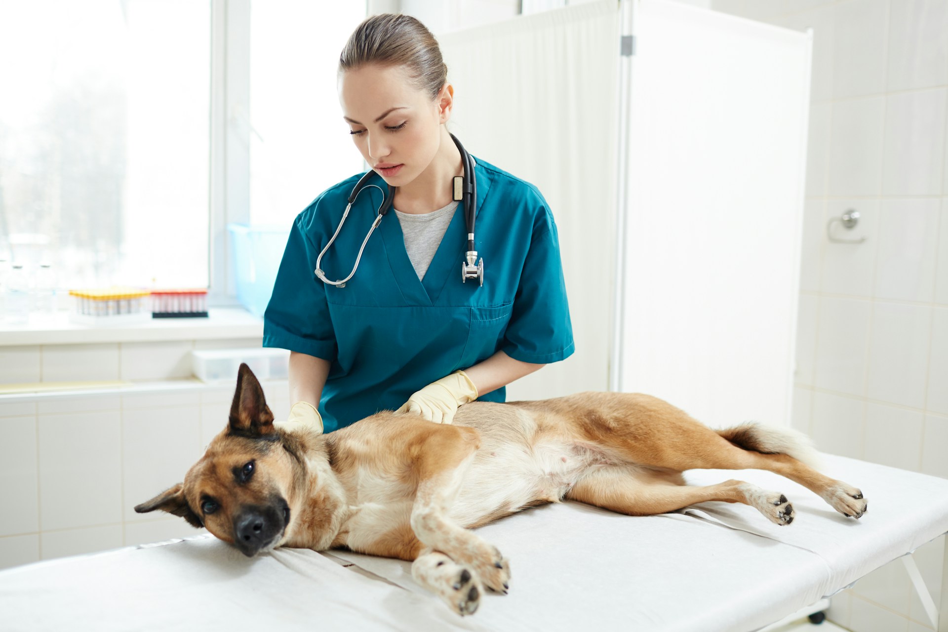 Fisioterapia manuale