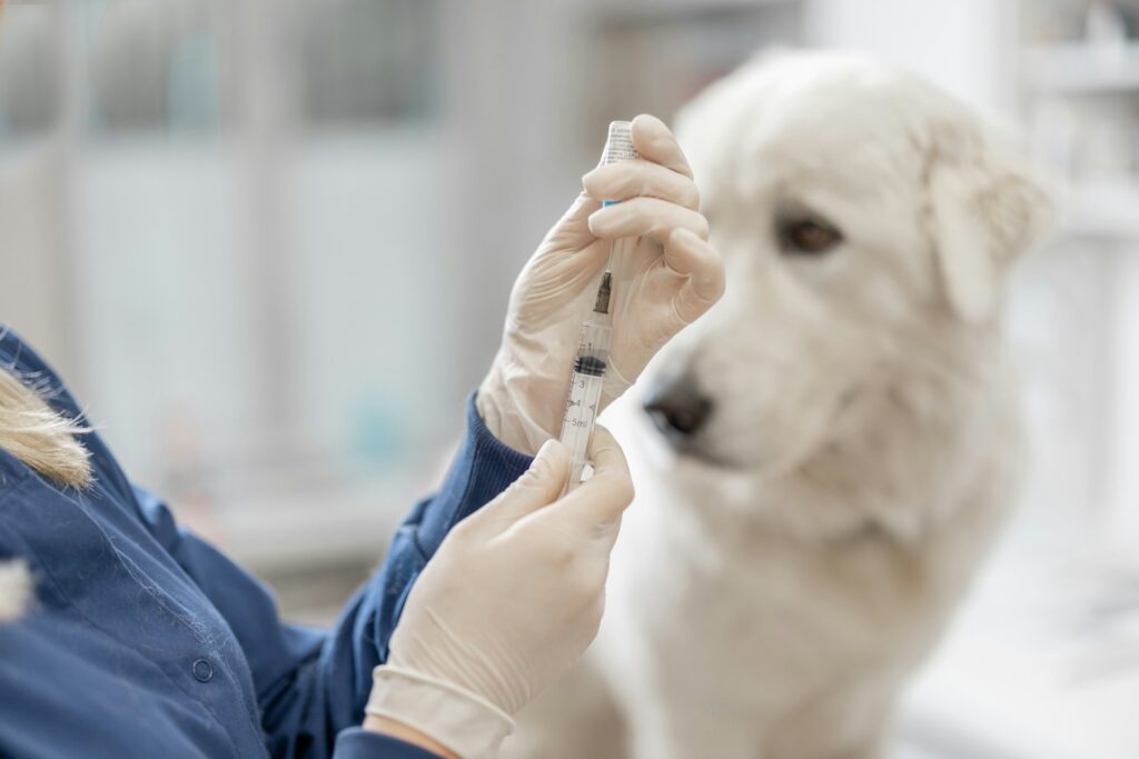 Vaccinazioni