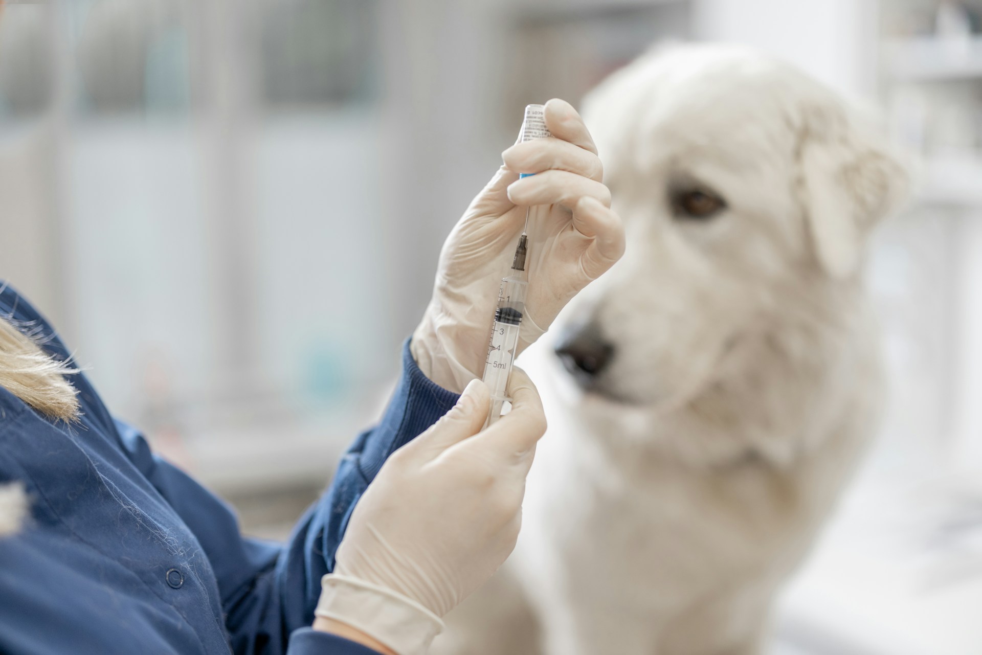 Vaccinazioni